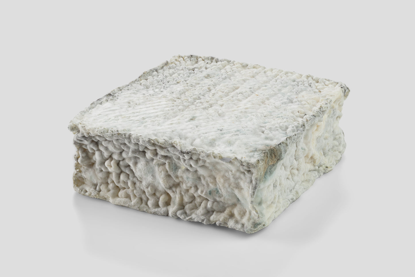 Pavé de Talleyrand