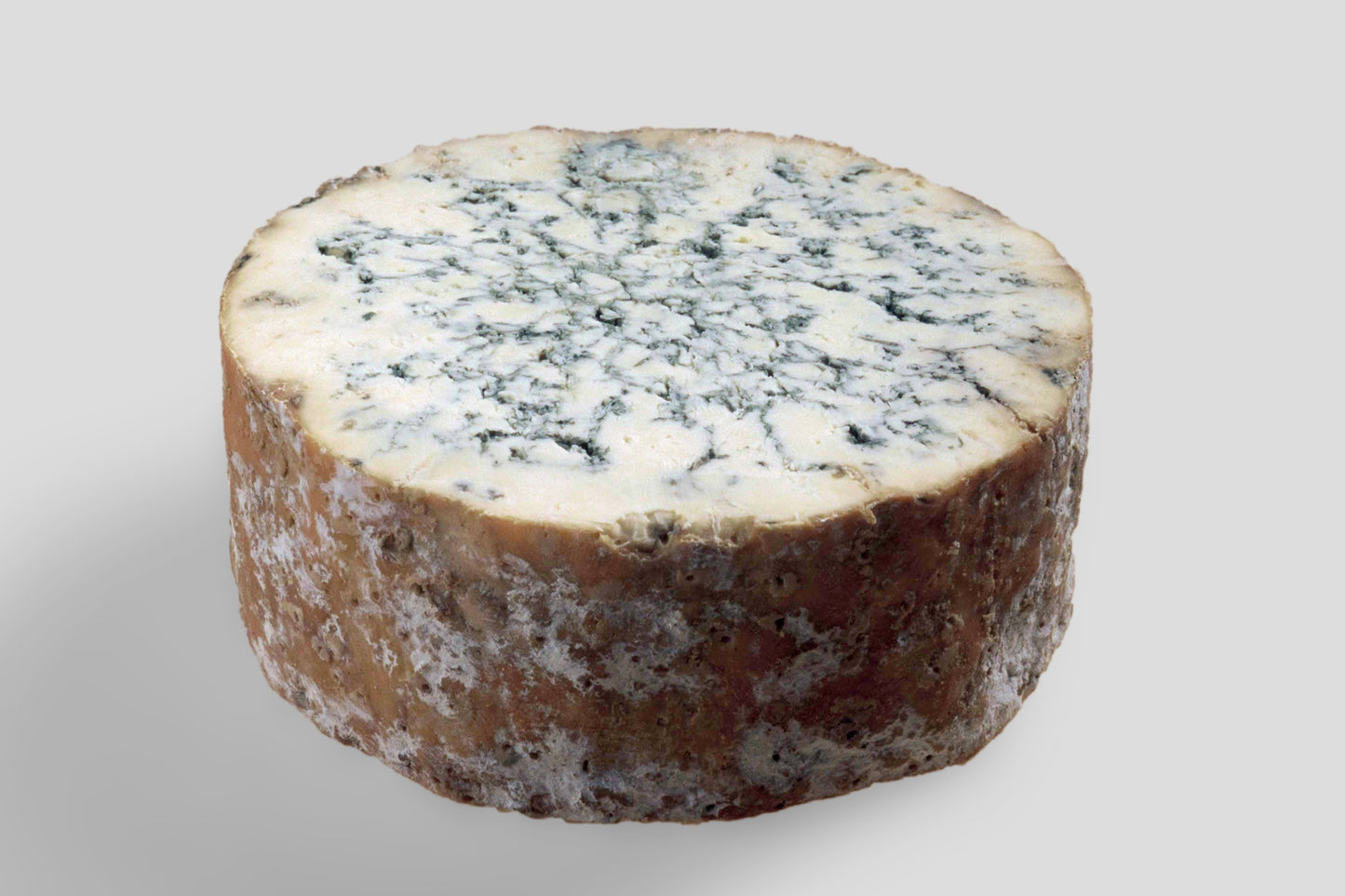 STILTON_HG_grau