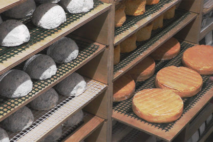 Online Tasting für Käse & Wein