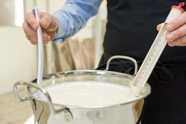 Bad Tölz: Workshop – Käse selbst herstellen