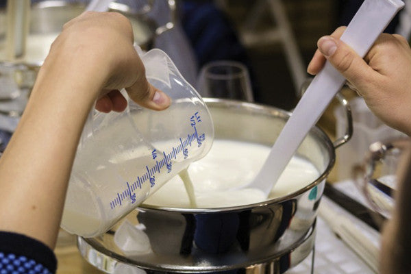 Bad Tölz: Workshop – Käse selbst herstellen
