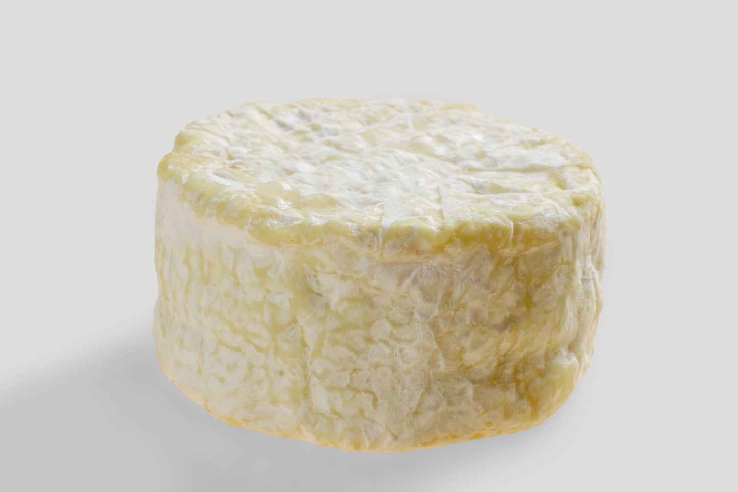 Delice_de_Saint_Cry_HG_grau-2
