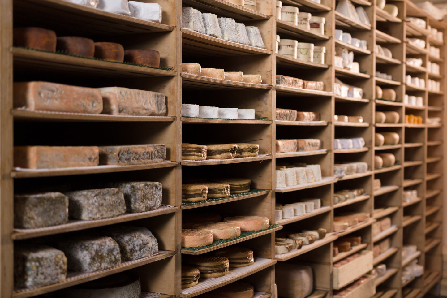 Reiferaum-14